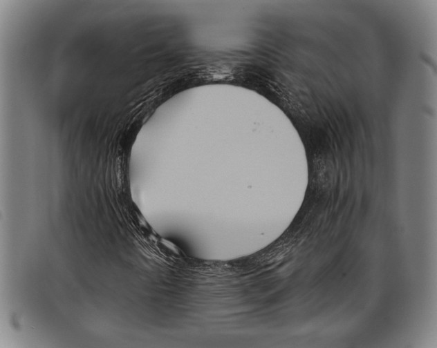 X0000097761442200804041115