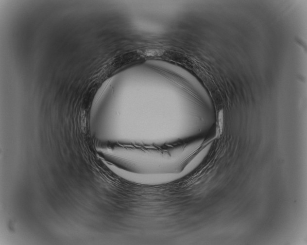 X0000097761443200804041115