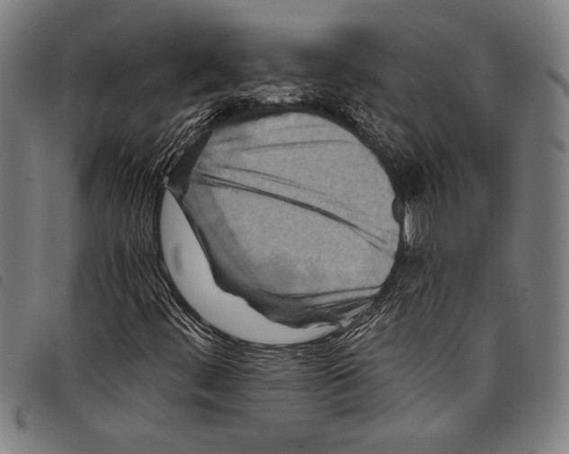 X0000097761444200804041115