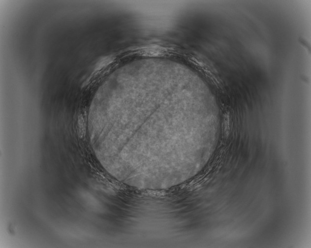 X0000097761446200804041115