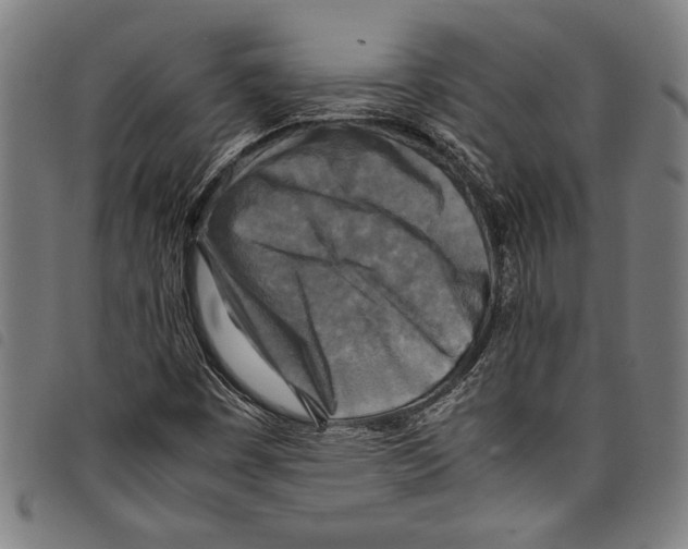 X0000097761449200804041115