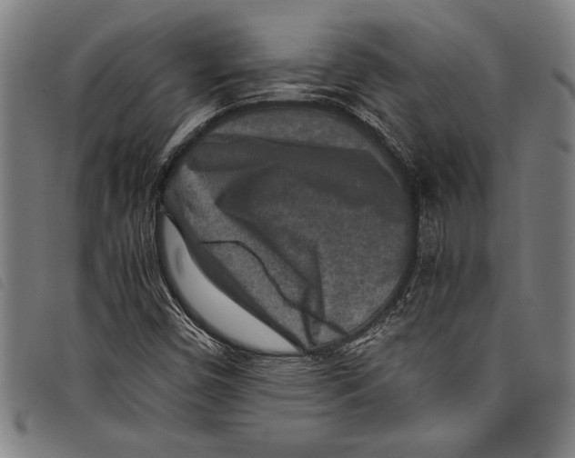 X0000097761450200804041115