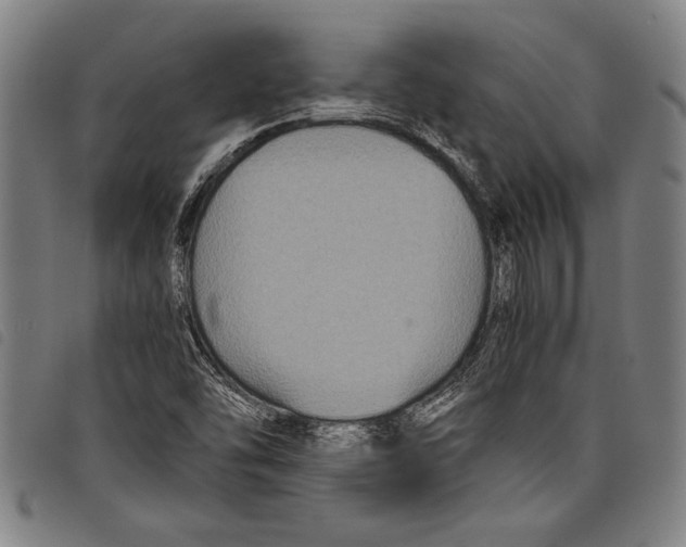 X0000097761454200804041115