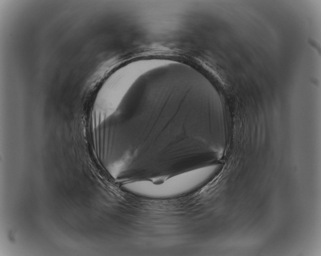 X0000097761455200804041115