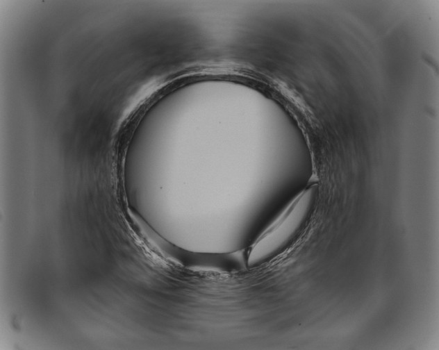 X0000097761456200804041115