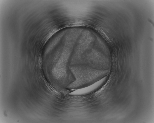 X0000097761457200804041115