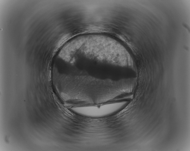 X0000097761459200804041115