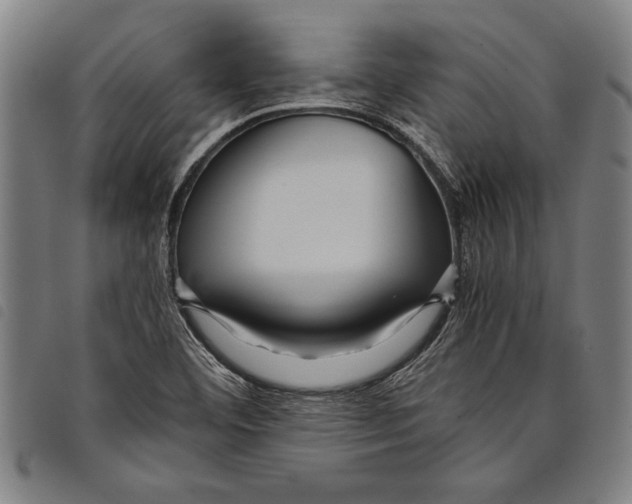 X0000097761460200804041115