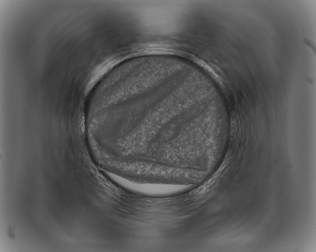 X0000097761461200804041115