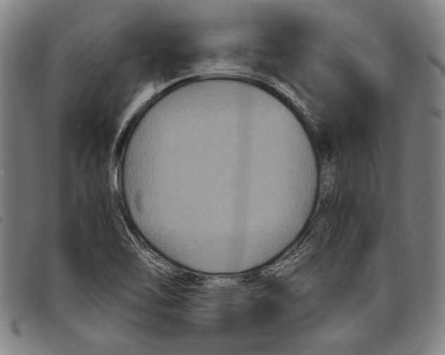 X0000097761462200804041115