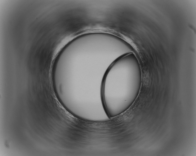 X0000097761464200804041114