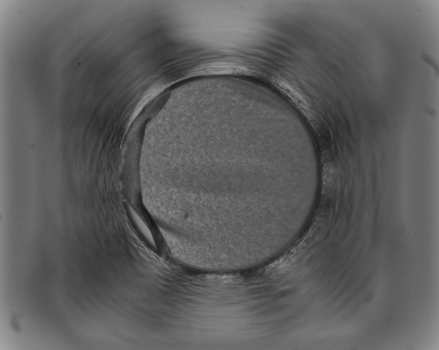 X0000097761465200804041114