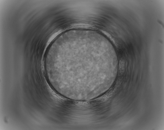 X0000097761466200804041114