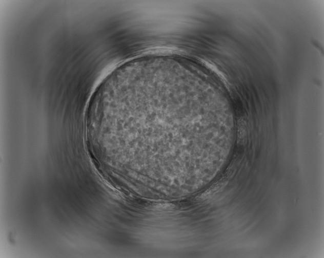 X0000097761467200804041114