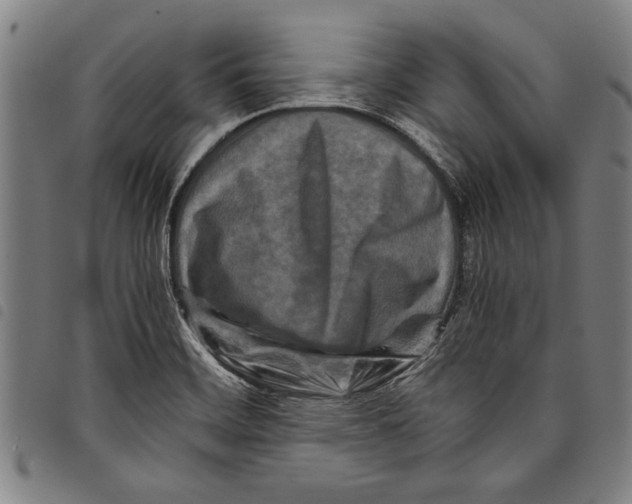 X0000097761468200804041114