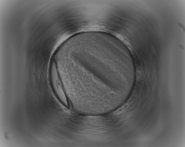 X0000097761469200804041114