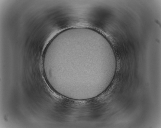 X0000097761470200804041114