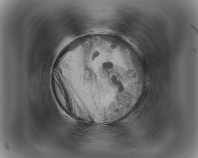 X0000097761471200804041114