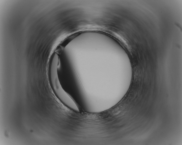 X0000097761472200804041114