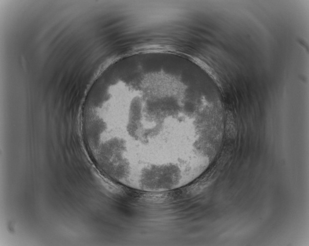 X0000097761474200804041114