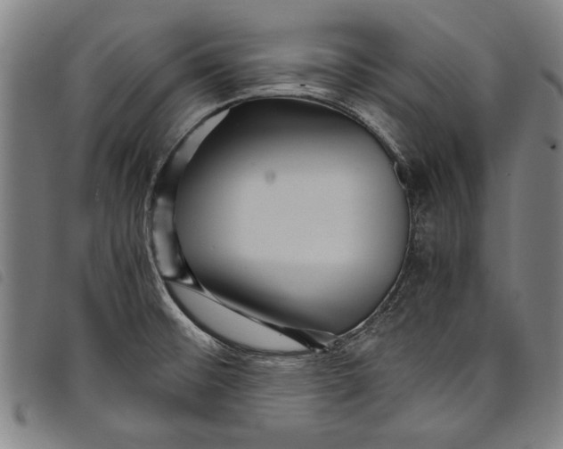 X0000097761476200804041114