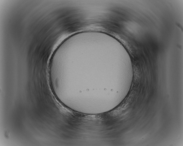 X0000097761478200804041114