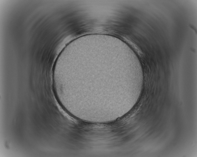 X0000097761479200804041114