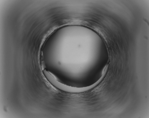 X0000097761480200804041114