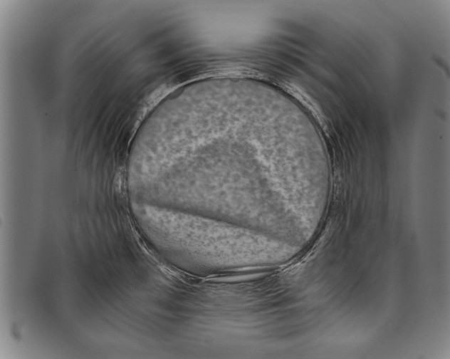 X0000097761481200804041114