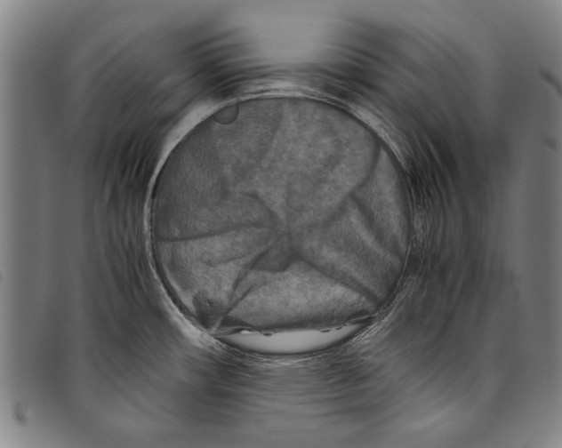 X0000097761482200804041114