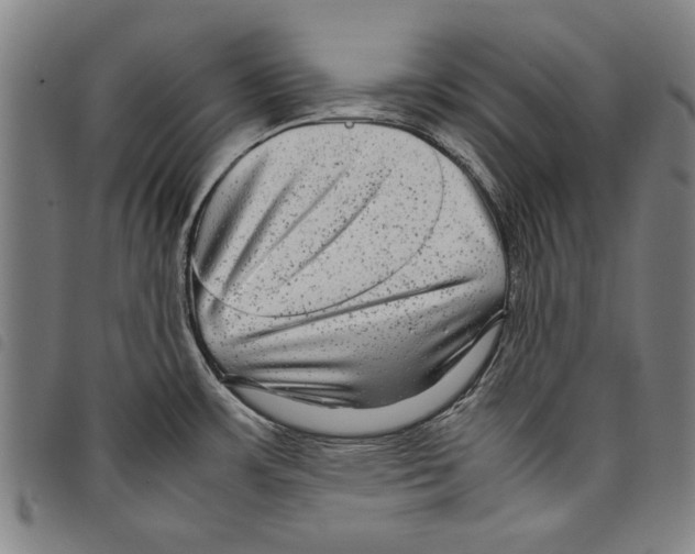 X0000097761483200804041114