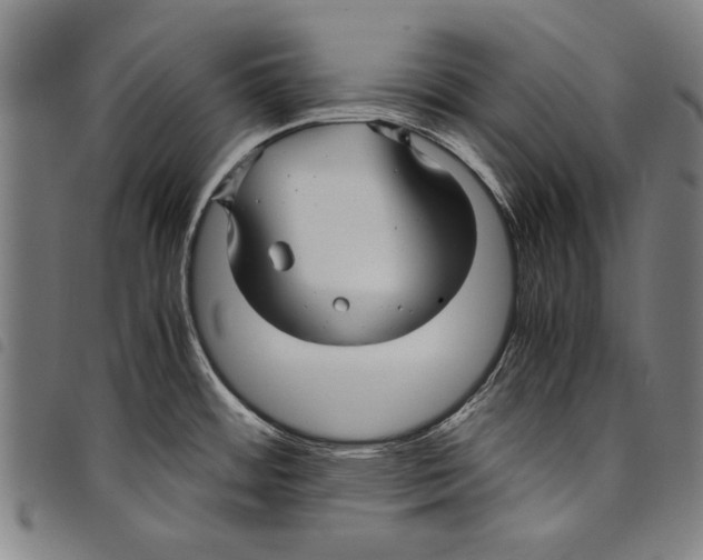 X0000097761484200804041114