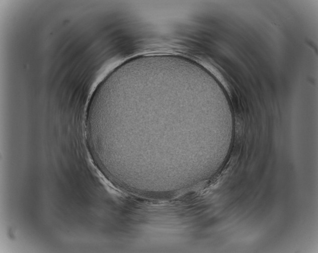 X0000097761485200804041114