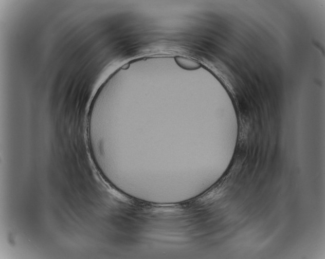 X0000097761486200804041114