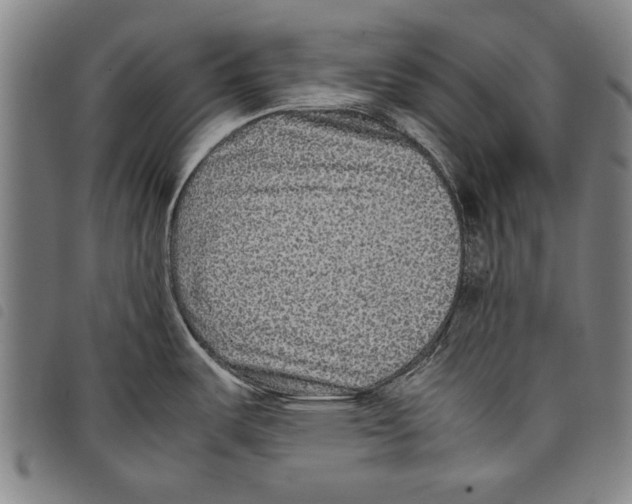 X0000097761487200804041114