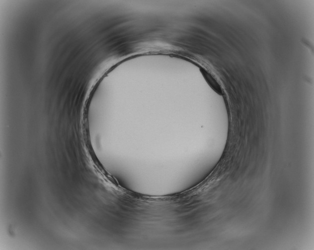 X0000097761488200804041114