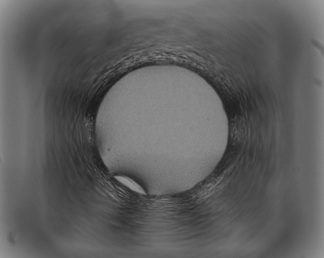 X0000097761490200804041114