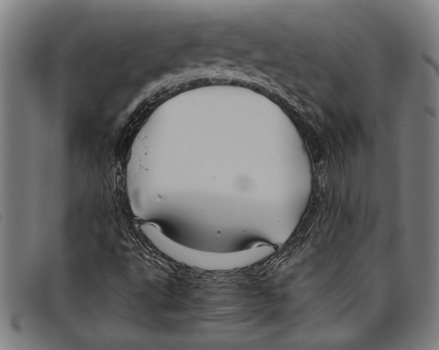 X0000097761495200804041114