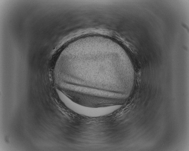 X0000097761496200804041114