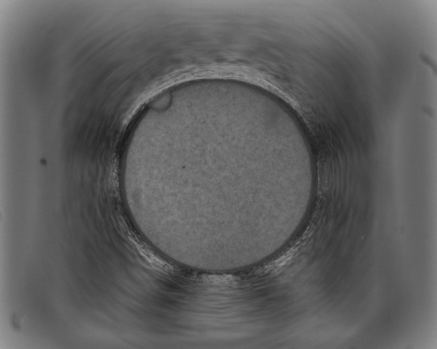 X0000097761498200804041114