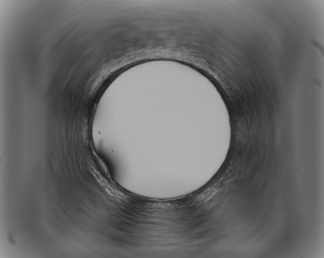 X0000097761499200804041114