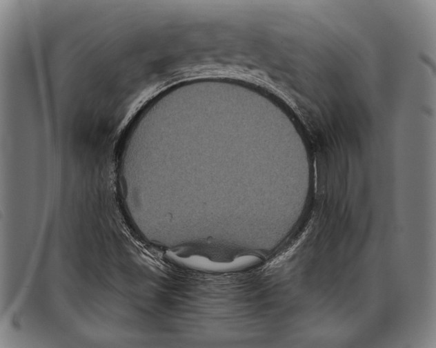 X0000097761501200804041114