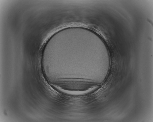 X0000097761504200804041114