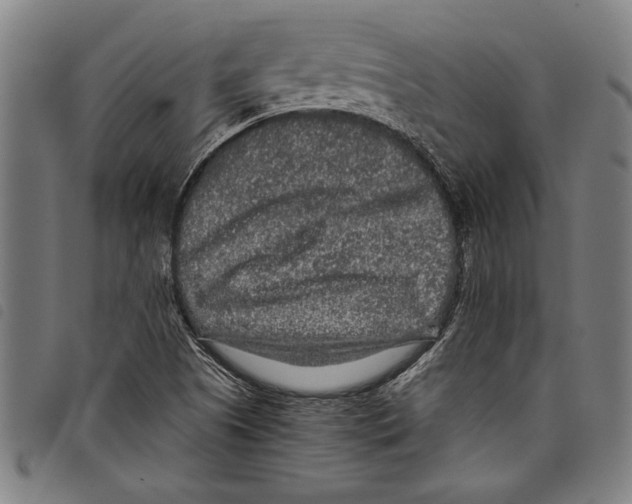 X0000097761505200804041114