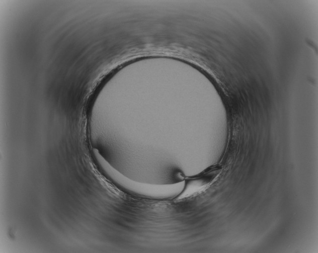 X0000097761507200804041114