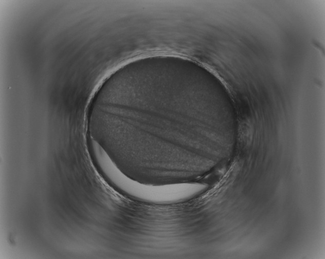 X0000097761508200804041114