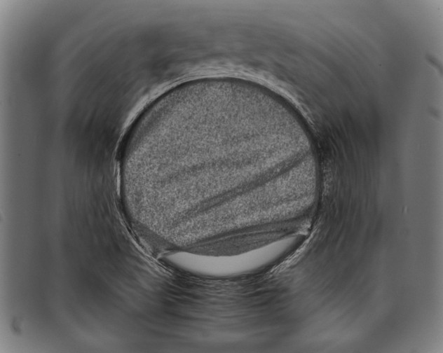 X0000097761509200804041114