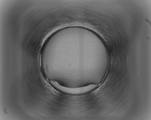 X0000097761510200804041114