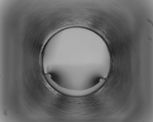 X0000097761516200804041114