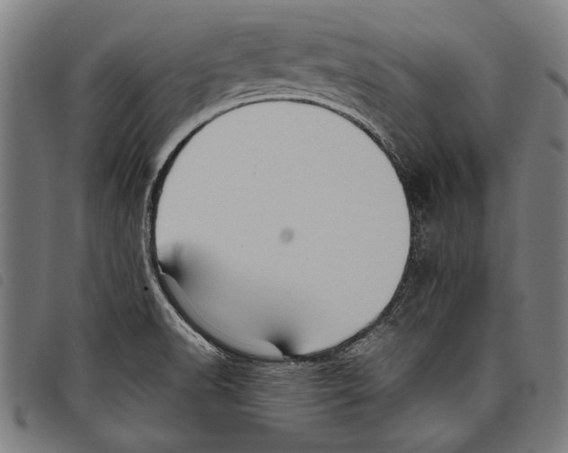 X0000097761518200804041114